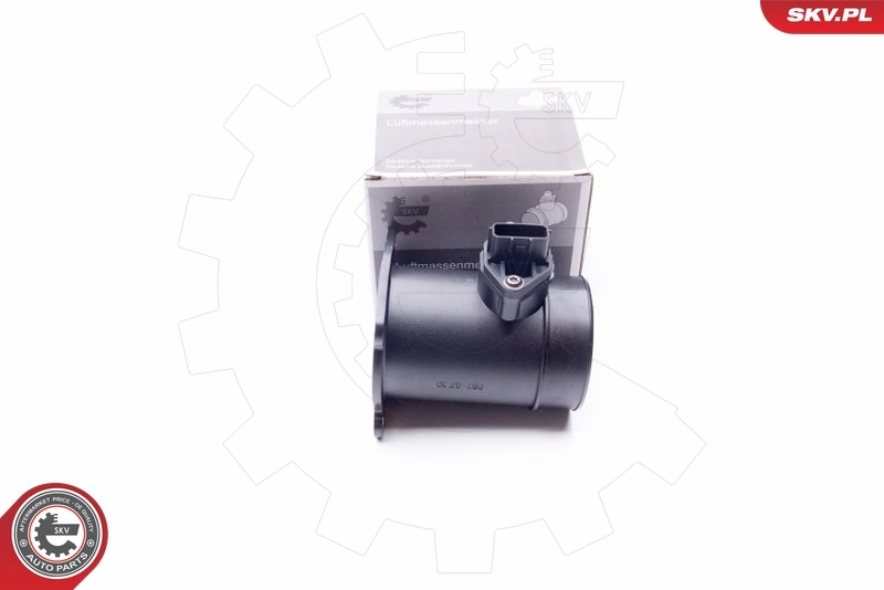 Mass Air Flow Sensor